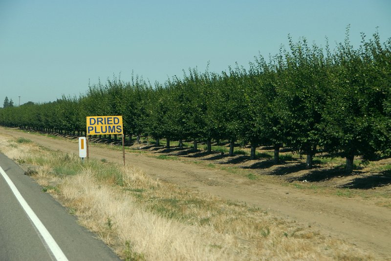 2011-07-18_San Francisco-Tag24_028.jpg